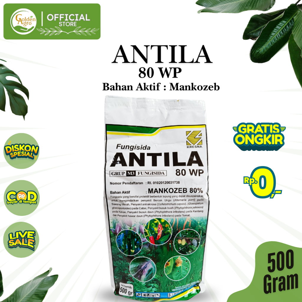 FUNGISIDA ANTILA 80WP WP 500GR GR GRAM