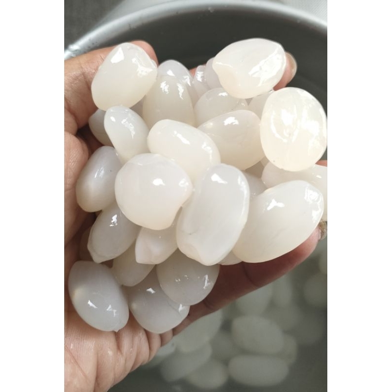 

KOLANG KALING MUDA SEGAR 500g