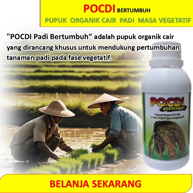 Pupuk organik cair padi fase vegetatif / Pupuk padi / pupuk padi vegetatif / POC padi vegetatif / pu