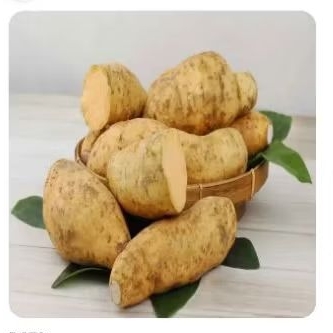 

UBI MANIS KELEDEK 600 G