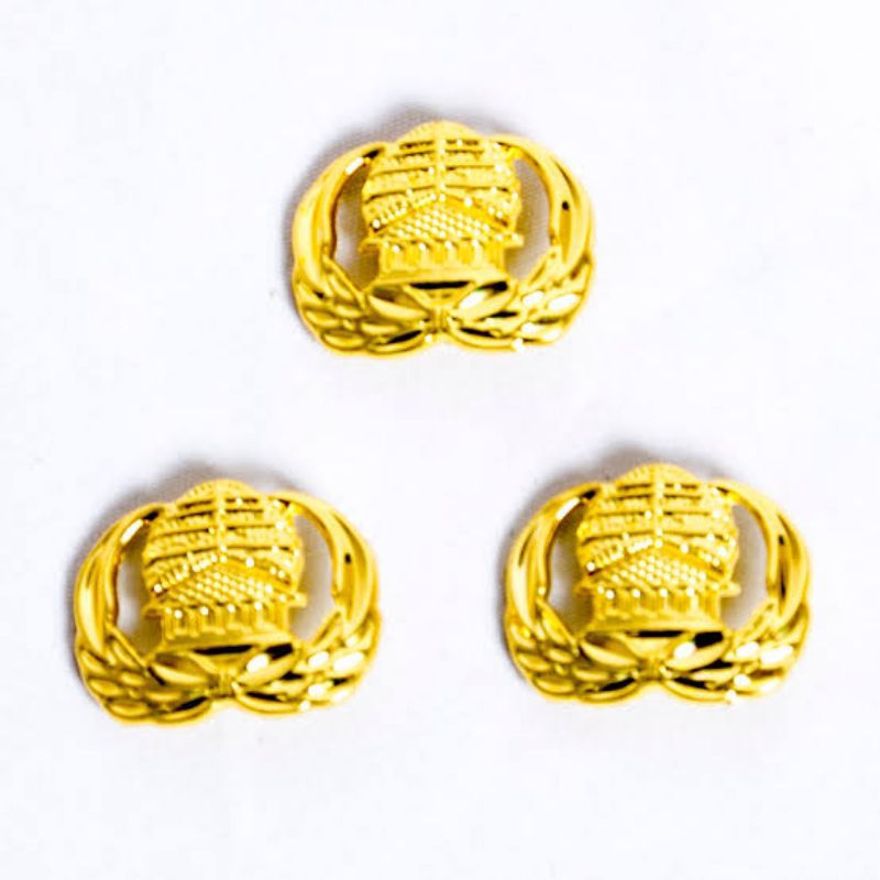 

Pin Korpri