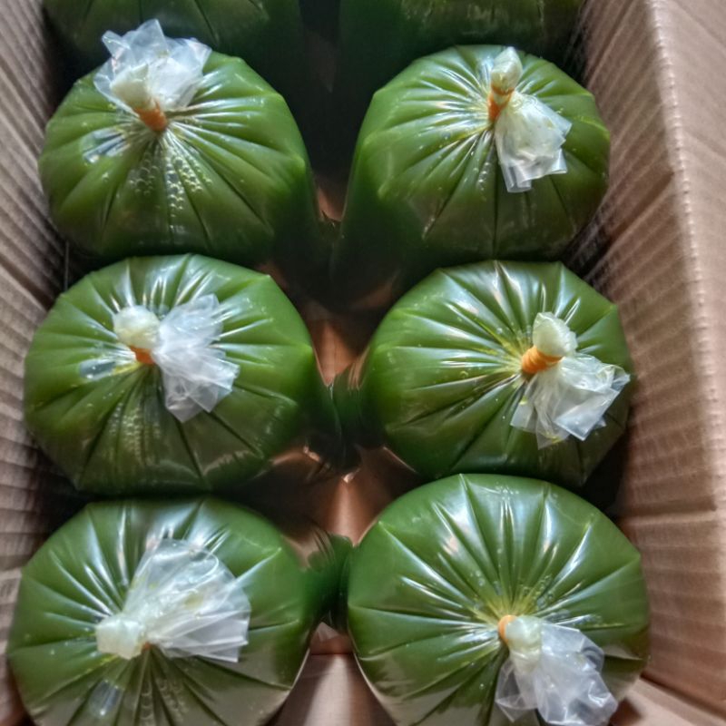 

GFD Cincau Hijau Organik Siap Saji Kemasan Plastik 1kg Gula / Santan Sudah Teisah