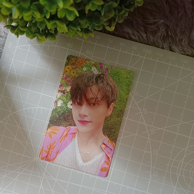 PHOTOCARD OFFICIAL JUN SEVENTEEN SECTOR 17  BUNGA