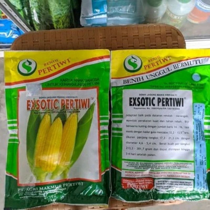 BENIH BIBIT JAGUNG MANIS EXSOTIC PERTIWI KEMASAN PABRIK