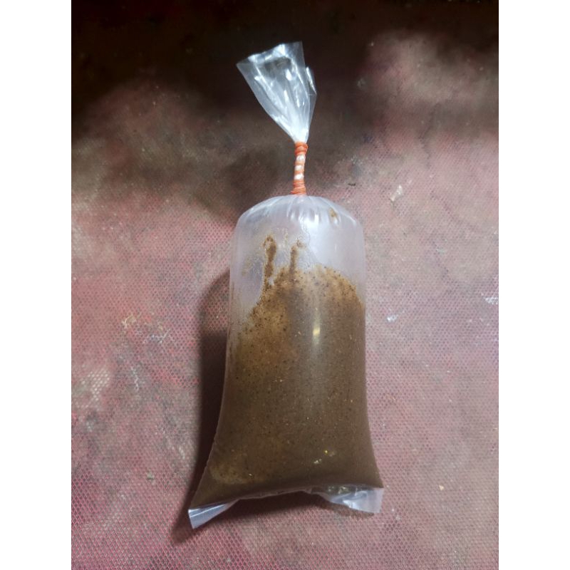 

kelapagongseng