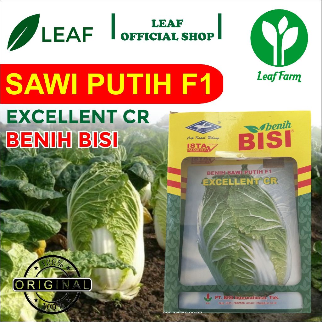 BENIH SAWI PUTIH F1 EXCELLENT CR BISI BY LEAF FARM