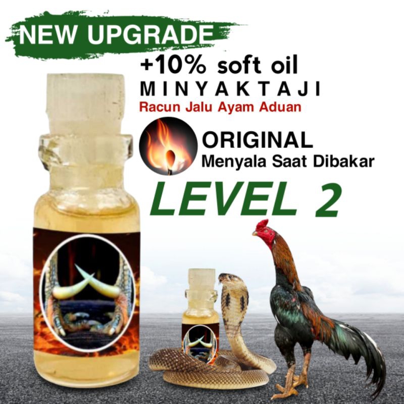 jamu ayam level 2 pakhoy brakot brutal