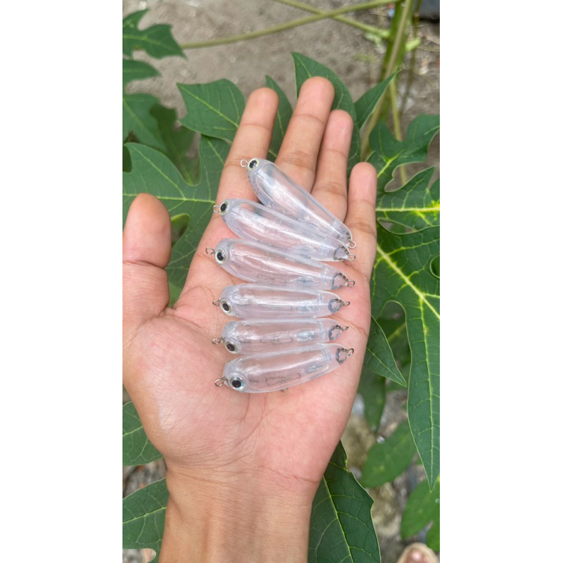 WTD MINI SBS BABY BUNTAL splash