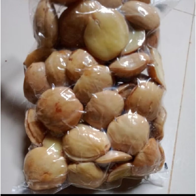 

JENGKOL REBUS, JENGKOL REBUS VAKUM, JENGKOL MASAK, JENGKOL MATENG