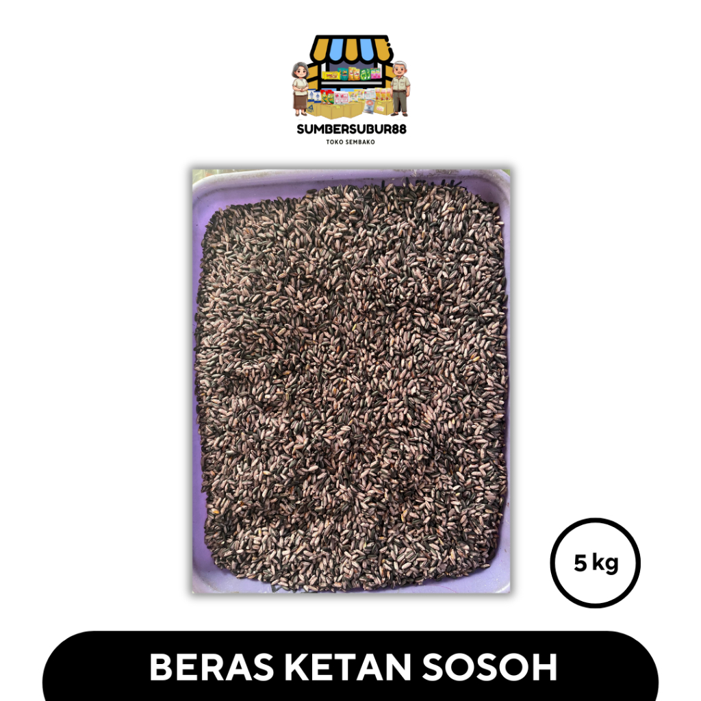 

BERAS KETAN SOSOH 5KG - Kualitas Baik
