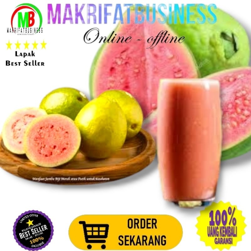 

MAKRIFATBUSINESS Paket 1 Biji Grad B JAMBU BIJI MERAH JAMBU JUS Segar Fresh Order Langsung Petik