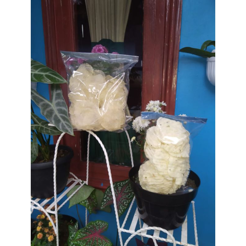 

kicimpring original