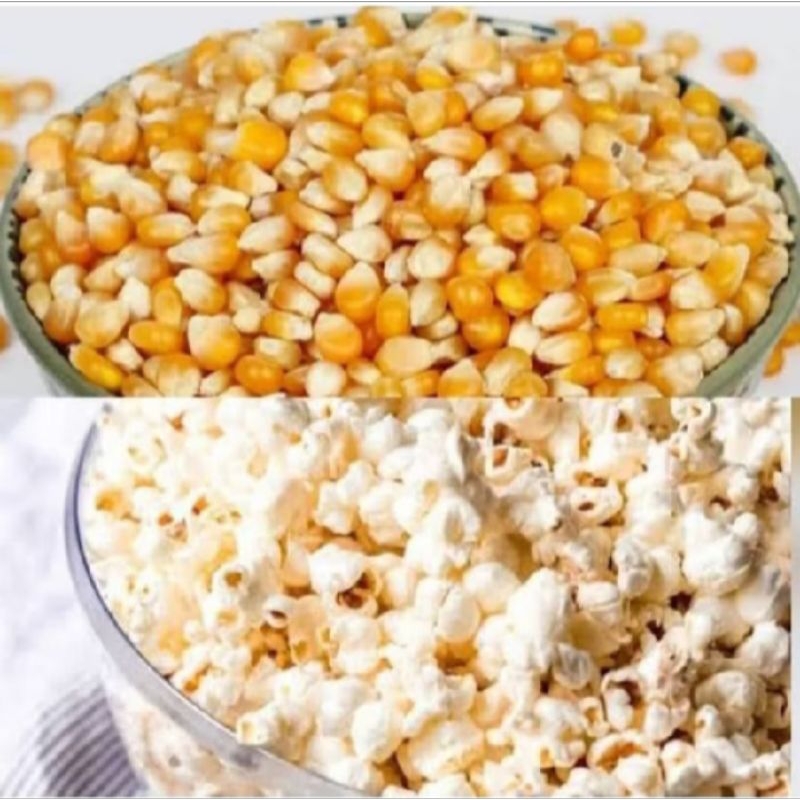 

Jagung popcorn pop corn Jagung mentah Biji 500G