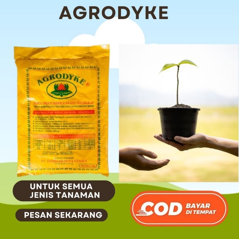 pupuk agrodyke pelebat Buah