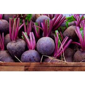 

Beet Root / Buah Bit Segar Sehat Bernutrisi Tinggi