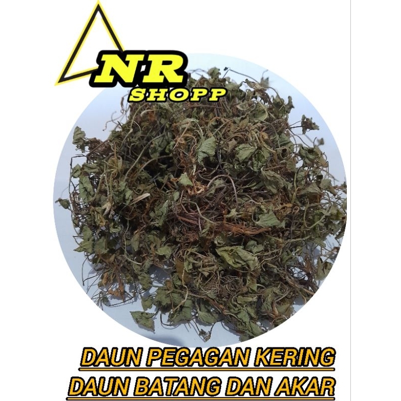 

JUAL DAUN PEGAHAN KERING 100GRAM BATANG DAUN DAN AKAR