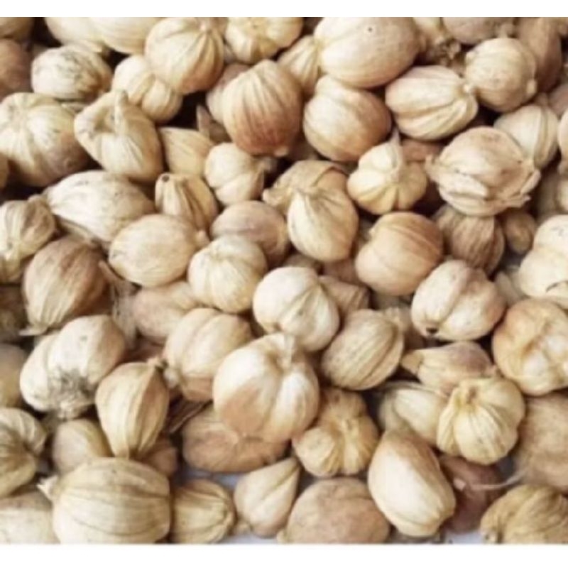 

kapol kring 250 gm
