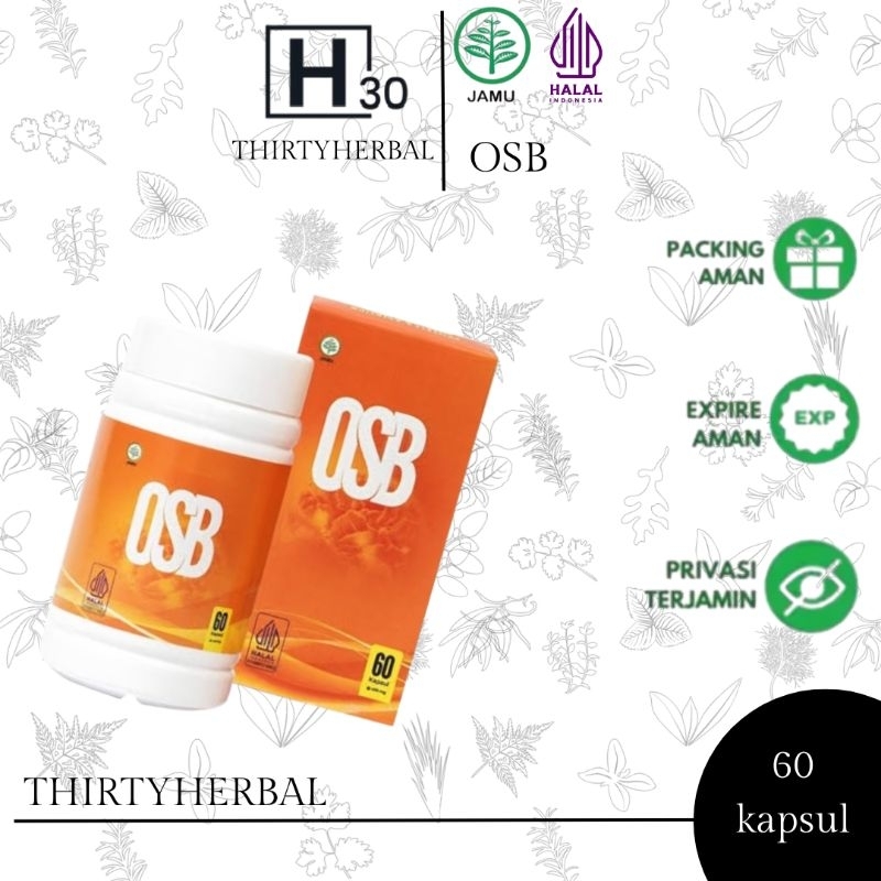 OSB OMAR SMART BRAIN ORIGINAL 100% ASLI Vitamin Otak OSB Vitamin Anak Cerdas Nutrisi Otak Penambah D