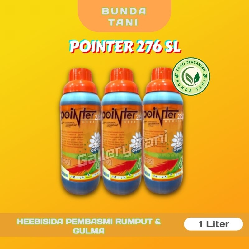 Herbisida Pointer 276 SL pembasmi rumput & Gulma 1liter