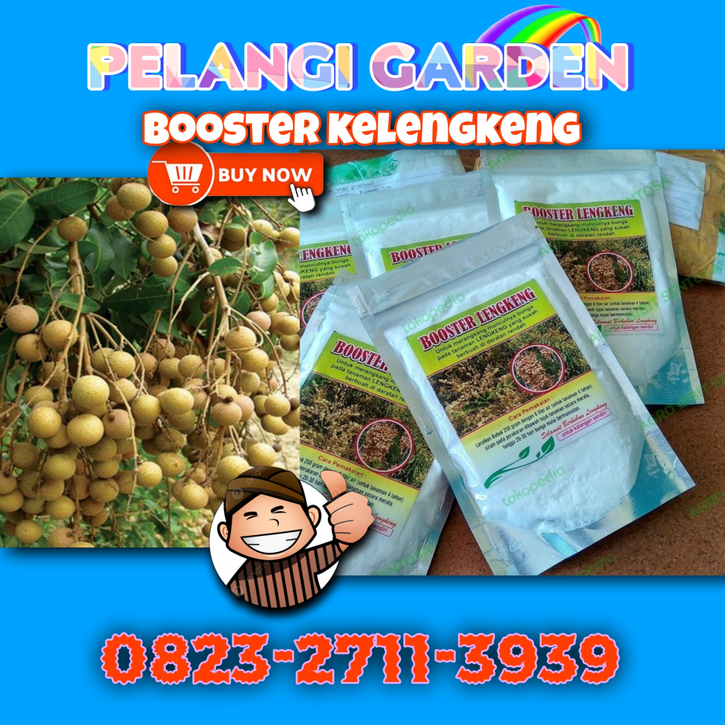 Booster Kelengkeng Longan, Booster Kelengkeng Murni, Booster Kelengkeng Murni 1Kg, Booster Kelengken