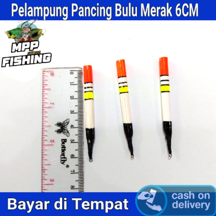 Pelampung Pancing Bulu Merak 6CM / Kumbul Ikan Mas Bulu Merak