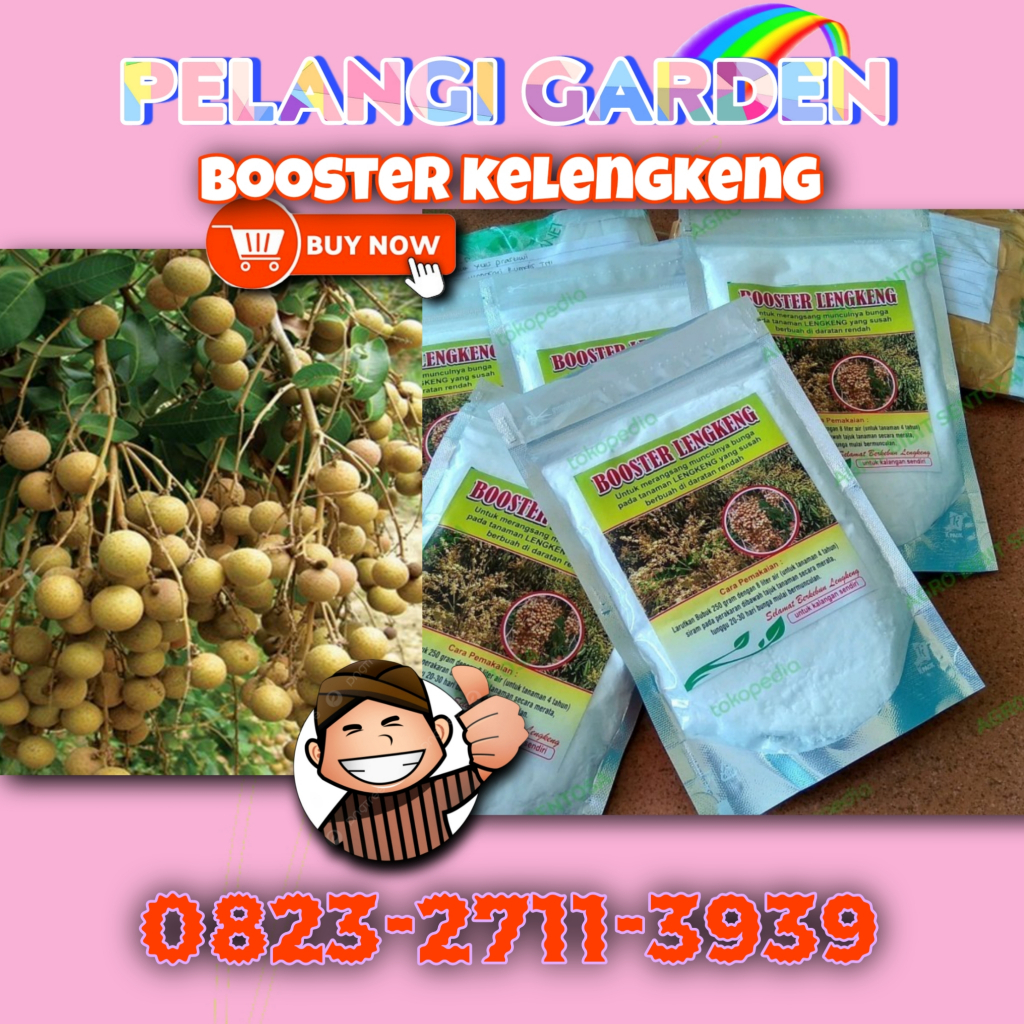 Booster Kelengkeng Nongfeng, Booster Kelengkeng New Kristal Cangkok, Booster Kelengkeng New Kristal 
