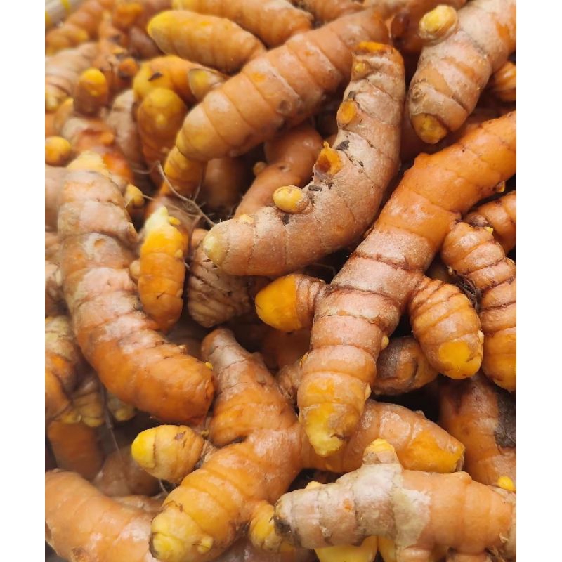 

KUNYIT KUNING PRES 1 KG BUMBU MASAK