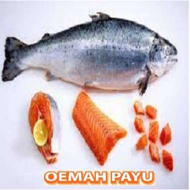 

Daging Ikan Salmon &Trout FilletPremium-200 gr - Seafood By Oemahpayu