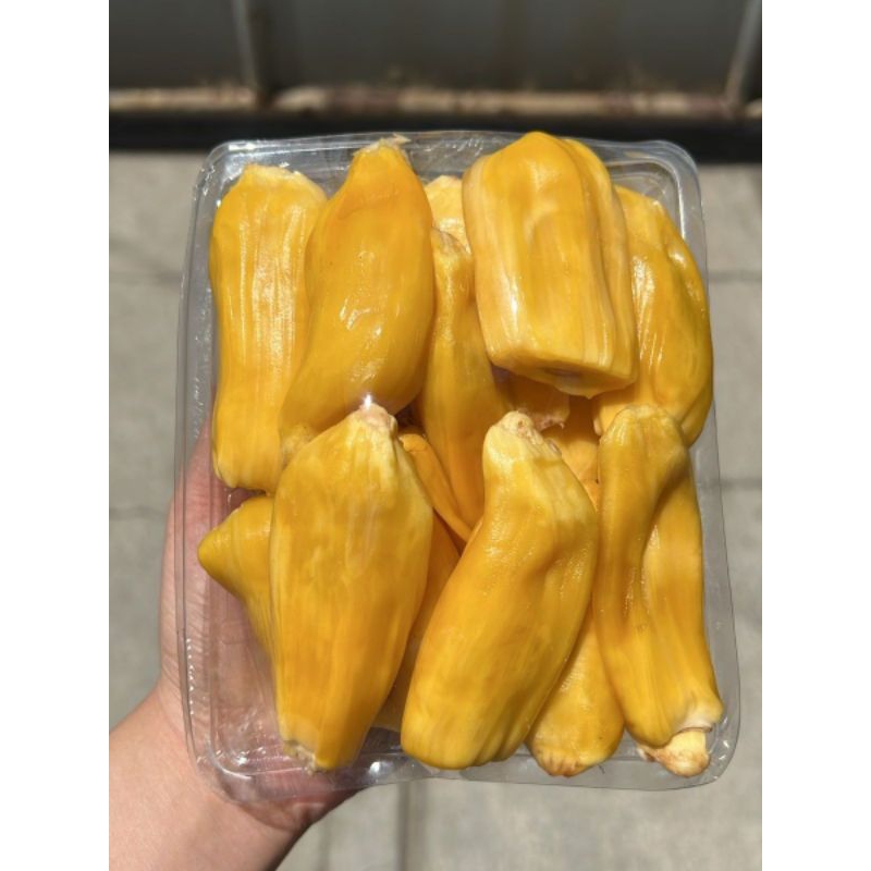 

Nangka Manis Madu J33