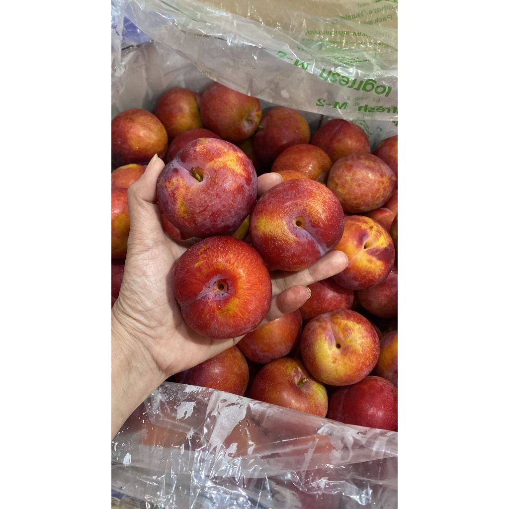 

PLUM. PLUM MERAH. ENAK. FRESH. BUAH PLUM. MELANCARKAN PENCERNAAN.