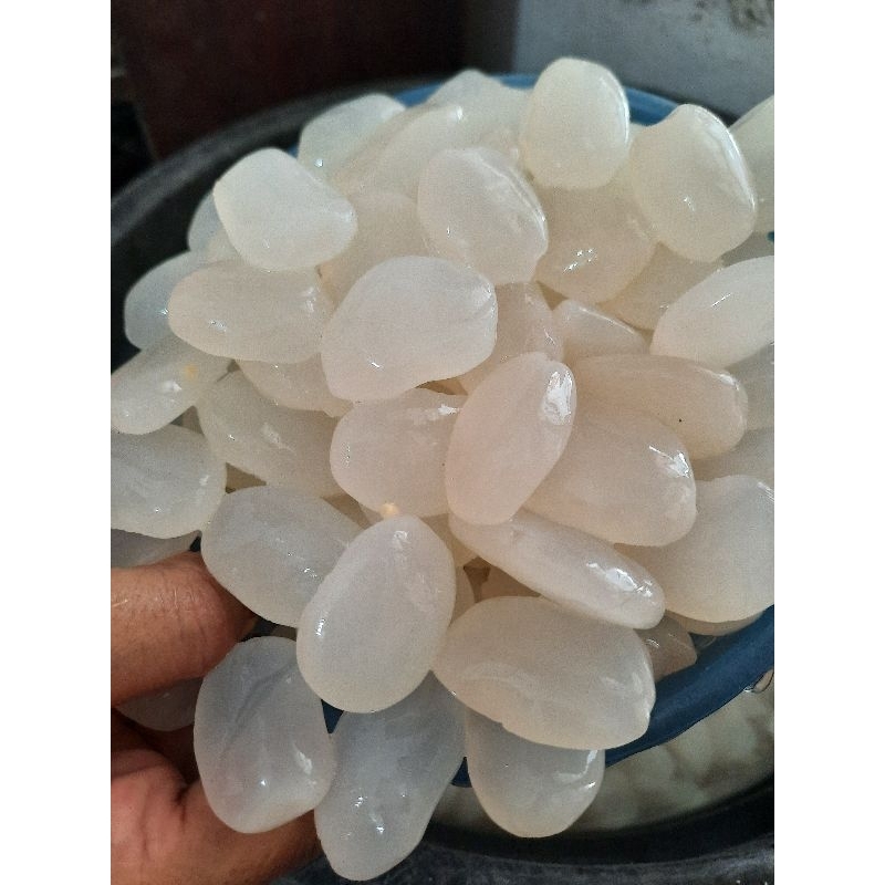 

Kolang-kaling/caruluk jumbo 1kg