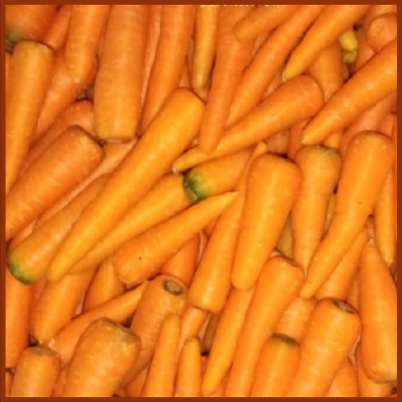 

wortel lokal Garut 1kg ukuran sedang murah banget sayuran yg mengandung vitamin A baik untuk kesehatan mata