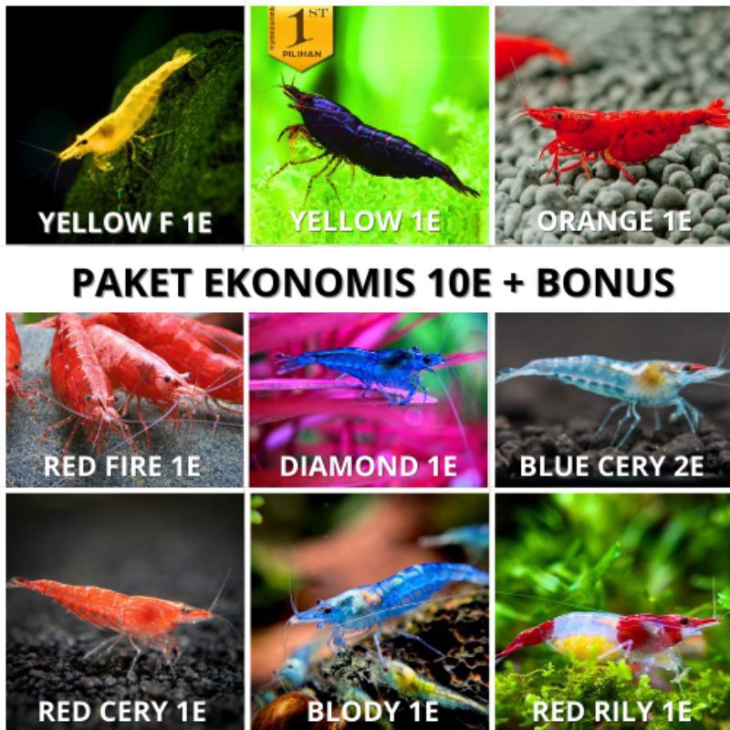 paket Hemat udang caridina 10e/Acc AQuascape/Hiasan Aquarium