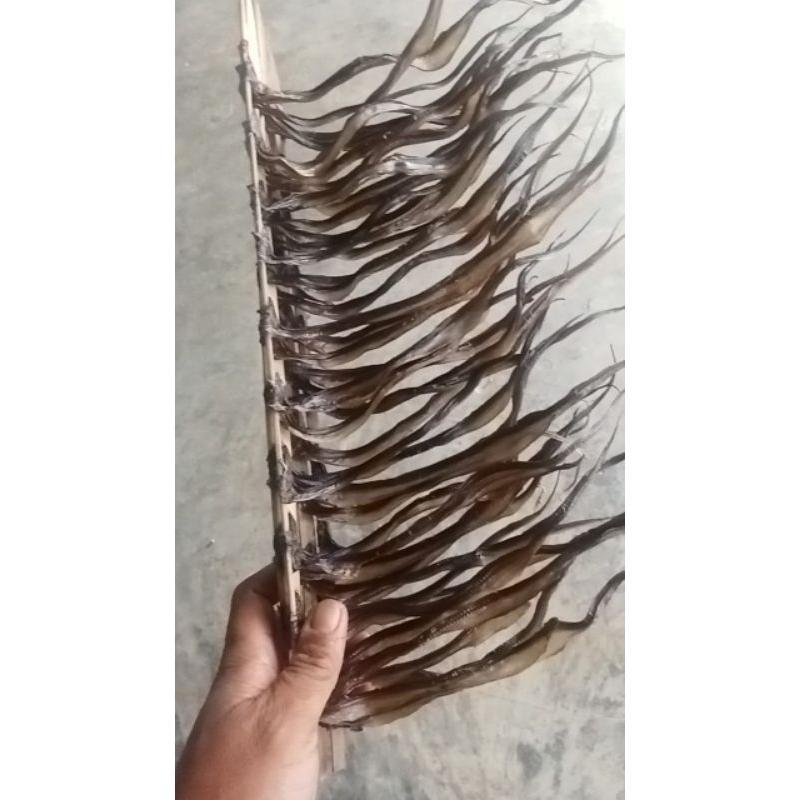 

BELUT KERING UKURAN KECIL ISI 50 EKOR