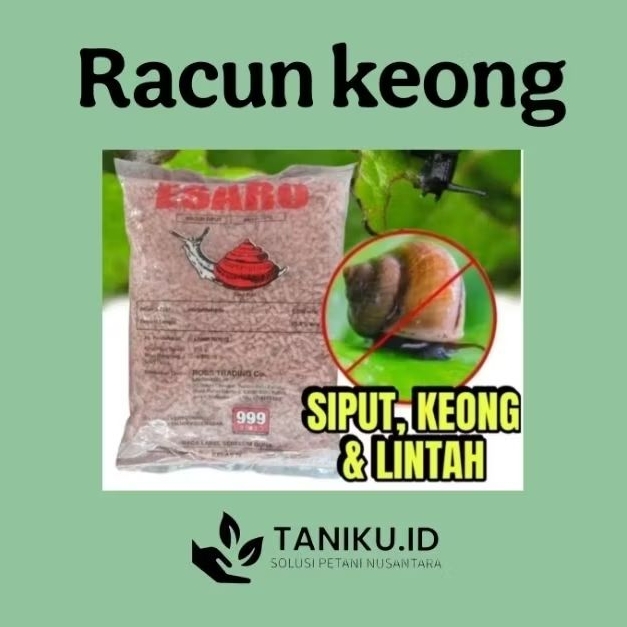 Obat Racun Siput Keong Esaro 500 gr