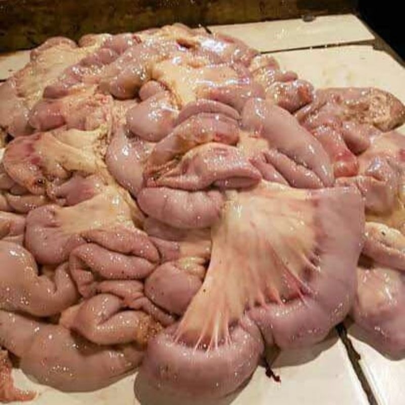 tambosu/usus sapi 500gr/1kg