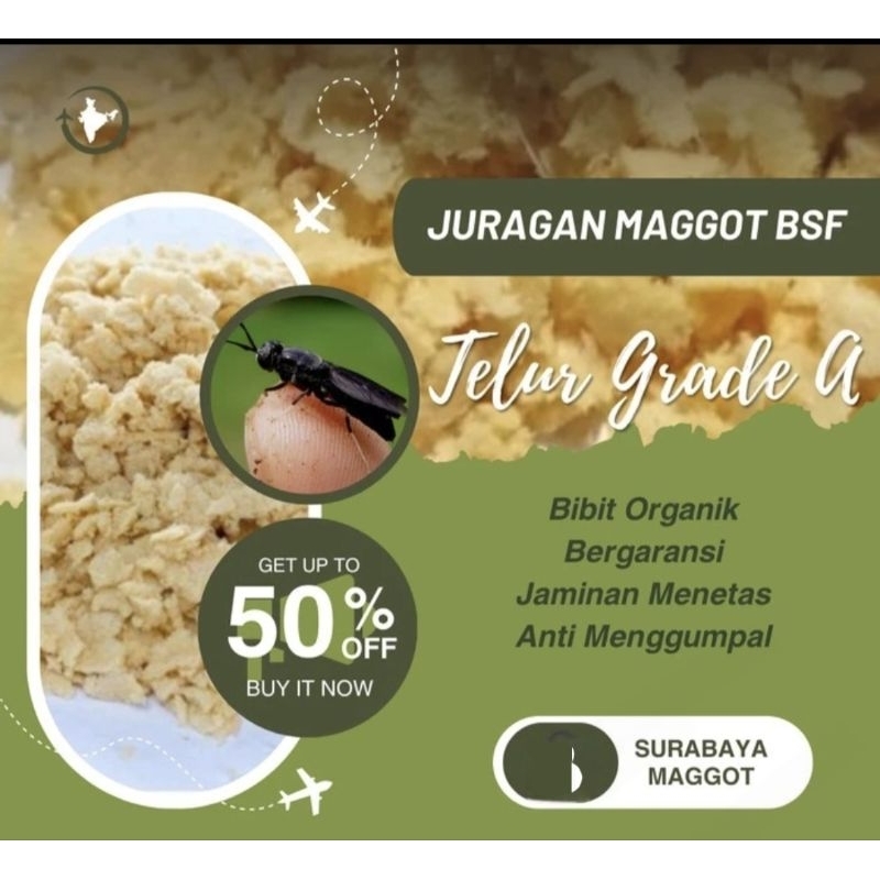 Telur Maggot BSF per 10 gram