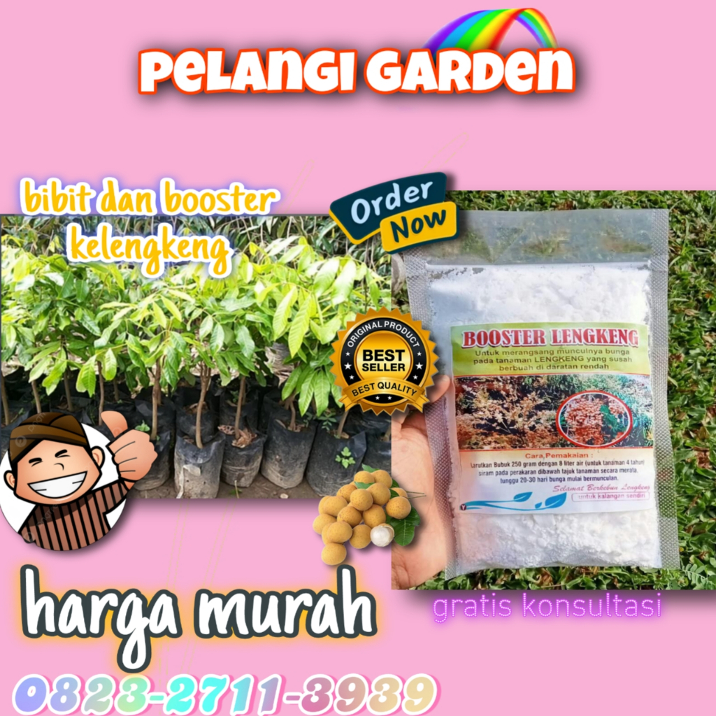 Booster Kelengkeng Puangray, Booster Kelengkeng Puangphet, Booster Kelengkeng Pingpong Cangkok, Boos