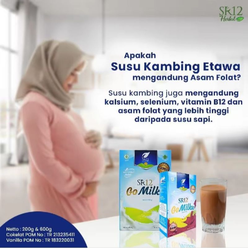 

Susu Kambing Etawa Murni Go milku SR12 Tidak Bau Amis dan Rendah Gula