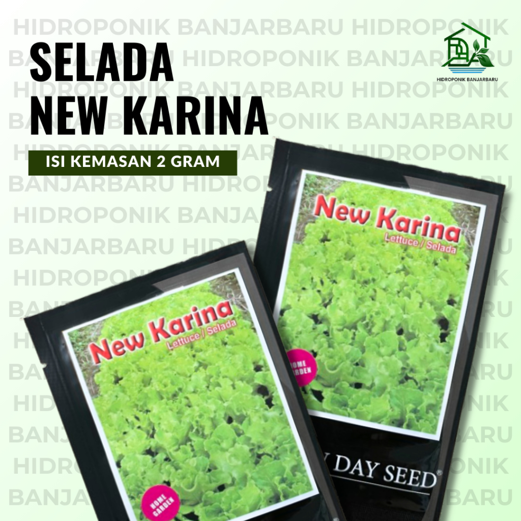 BENIH SELADA KERITING NEW KARINA NDS NEW DAYS SEED 2 GRAM LETTUCE BATAVIA SELADA HIJAU