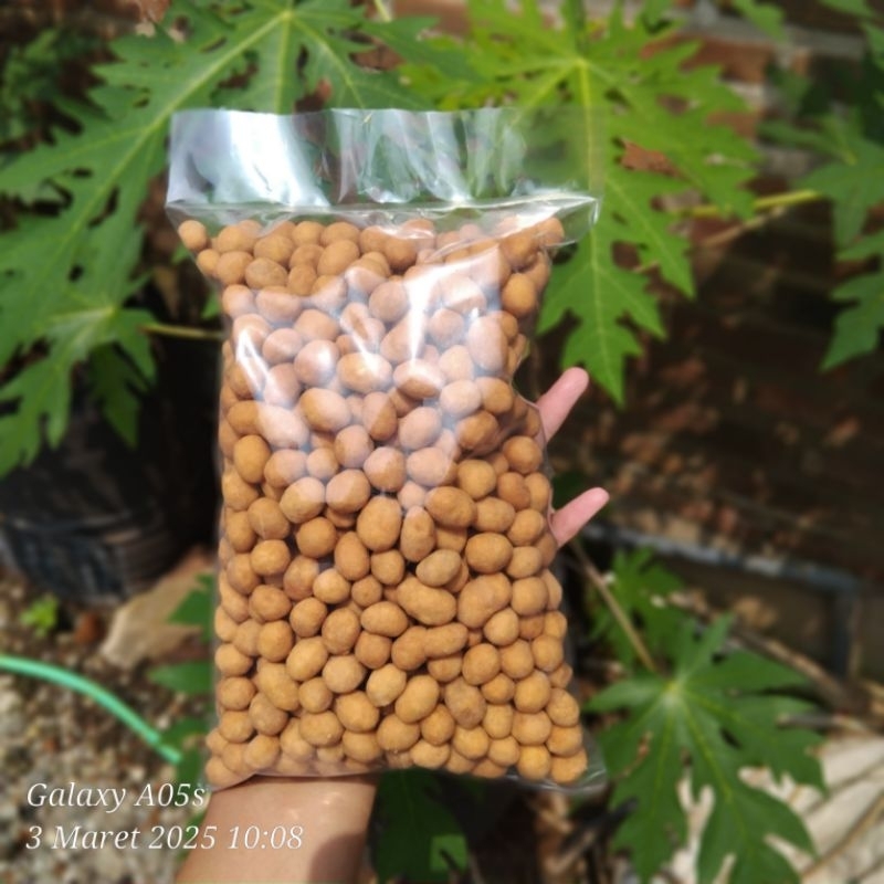 

kacang telor