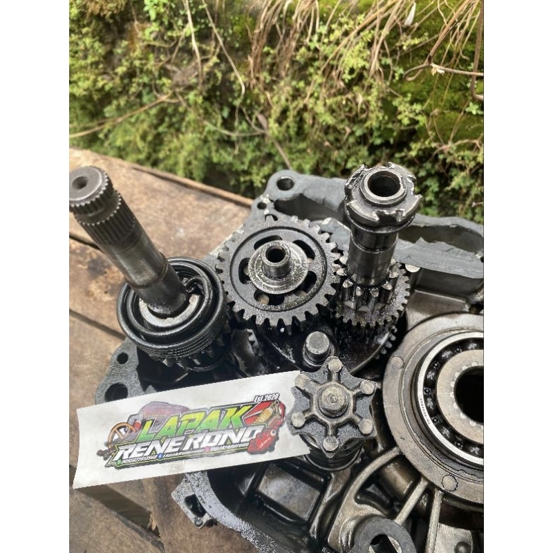 RASIO TIGER 6 SPEED + AS SELAH MINUS LIHAT DI VIDEO