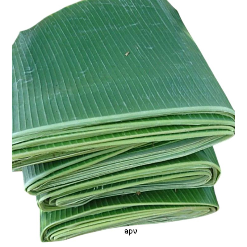 

daun pisang 10 lembar fresh