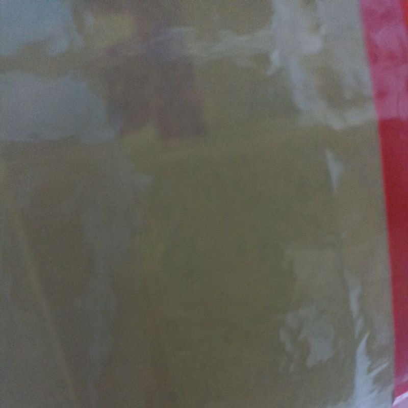 sticker prtde ribbon