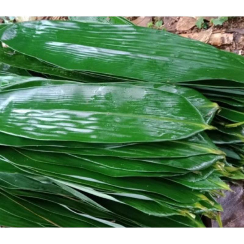

75 leembar daun bambu lebar 6~7 cm segar fresh t weermurah terlaris