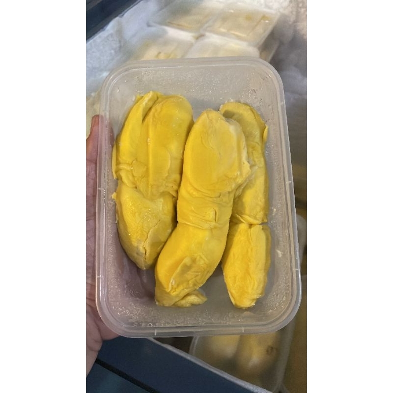 

DURIAN BAWOR BANYUMAS PREMIUM KUNING KUNYIT