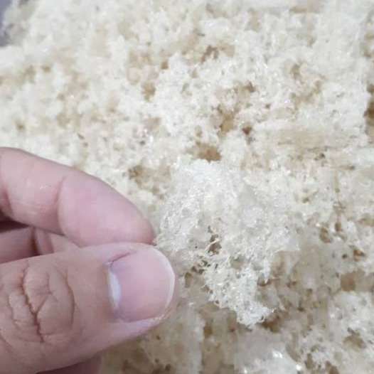 

sarang liur walet hancuran per 5 gram 5gram 10gram
