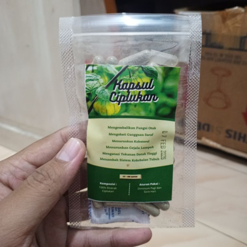 

DAUN CIPLUKAN OBAT SYARAF