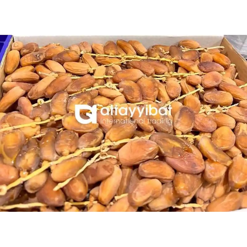 

Kurma Tunisia Tangkai SEHATAK 5kg