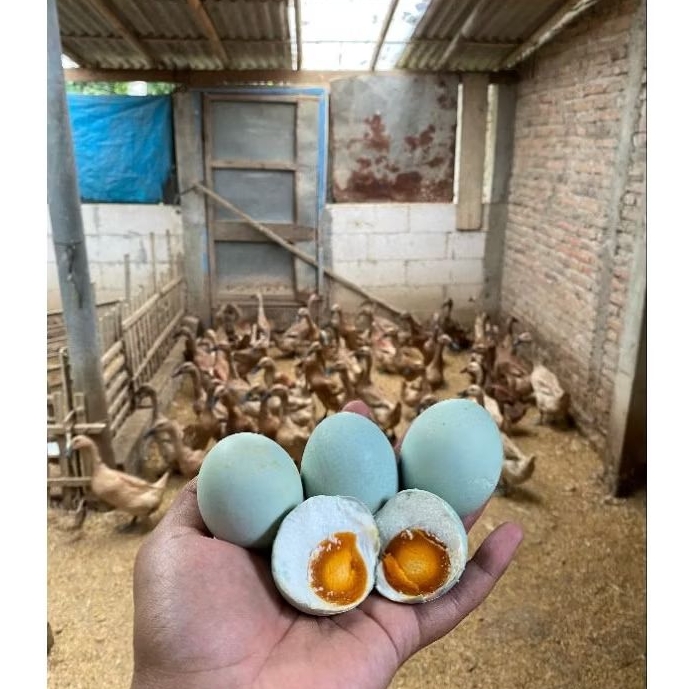 

Telor asin Original 10 Butir Ukuran Besar